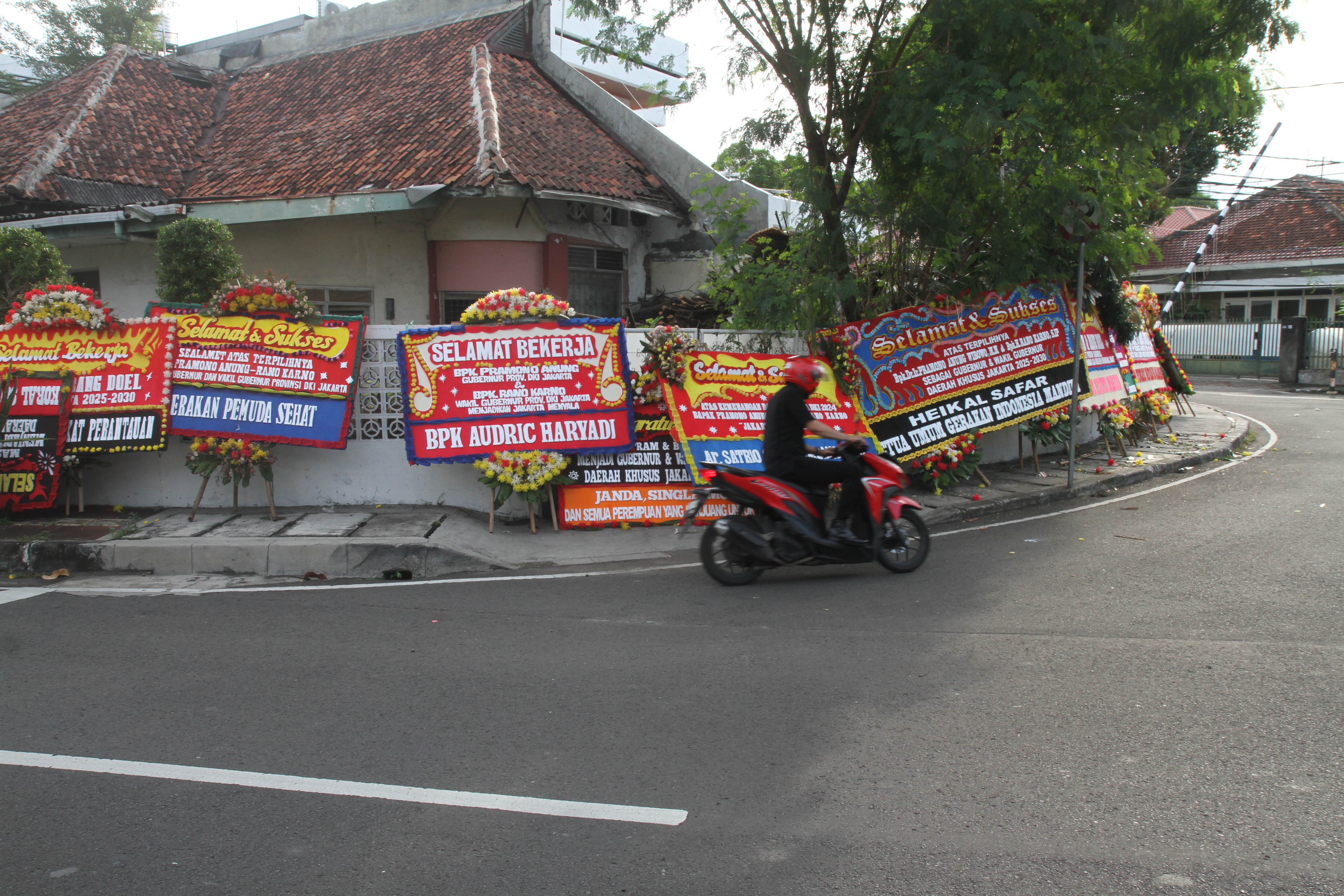 Warga melintasi karang bunga yang berjejer di sekitar Rumah Pemenangan pasangan cagub dan cawagub DKI Jakarta Pramono Anung dan Rano Karno di Jalan Cemara, Jakarta, Minggu(01/12/2024). (BeritaNasional.com/Oke Atmaja)