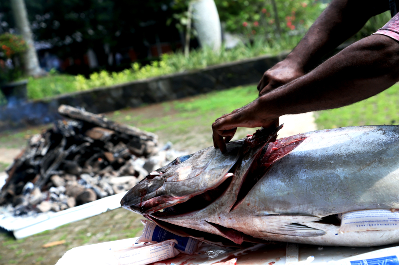 PPKB FIB UI gelar budaya bakar batu Papua. (BeritaNasional/Elvis Sendouw)