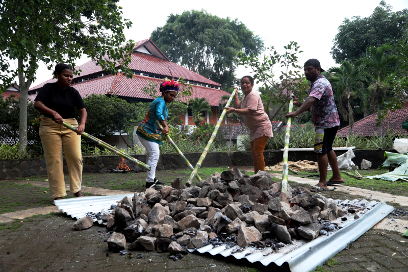 PPKB FIB UI gelar budaya bakar batu Papua. (BeritaNasional/Elvis Sendouw)