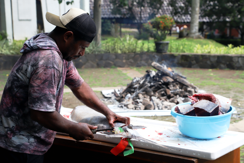 PPKB FIB UI gelar budaya bakar batu Papua. (BeritaNasional/Elvis Sendouw)