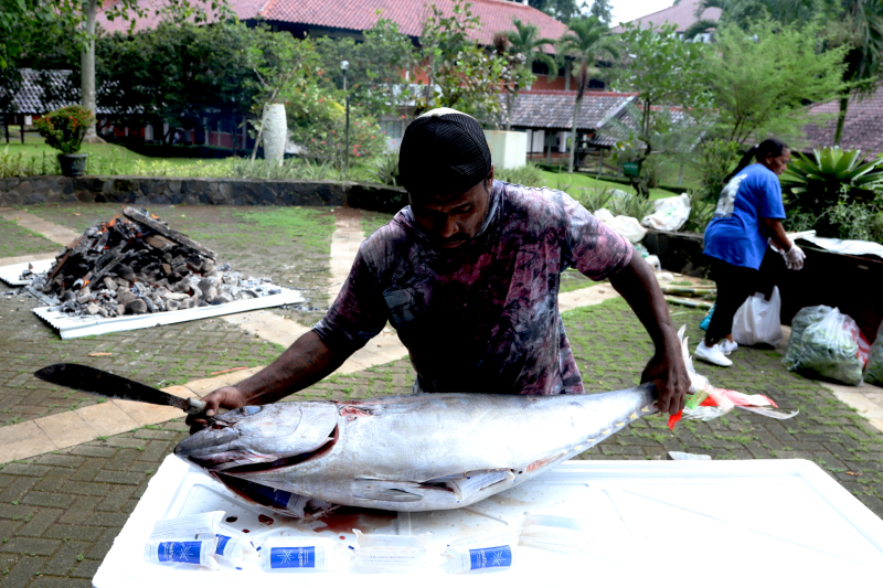 PPKB FIB UI gelar budaya bakar batu Papua. (BeritaNasional/Elvis Sendouw)