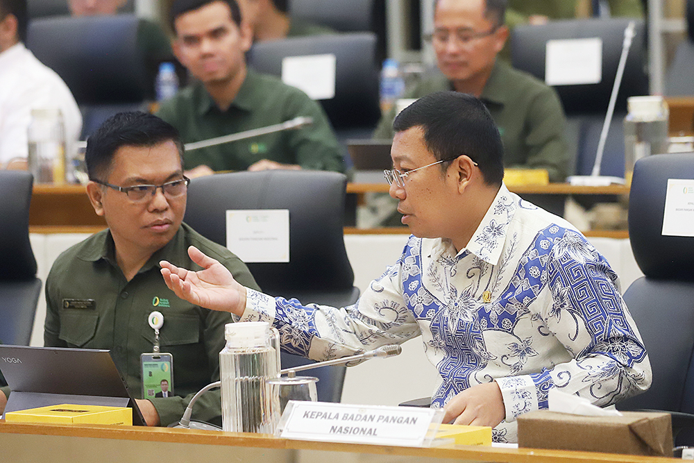 Rapat kerja komisi IV bersama Kepala Badan Pangan Nasional. (BeritaNasional/Elvis Sendouw)