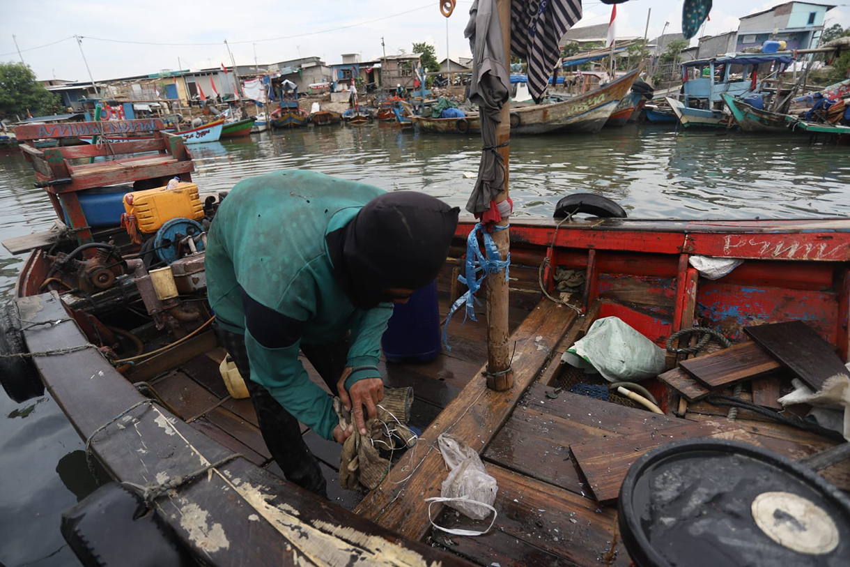 Nelayan merapikan kerang hijau usai dipanen dari Teluk Jakarta di Cilincing, Jakarta, Jumat(24/4/2026). (Beritanasional.com/Oke Atmaja)