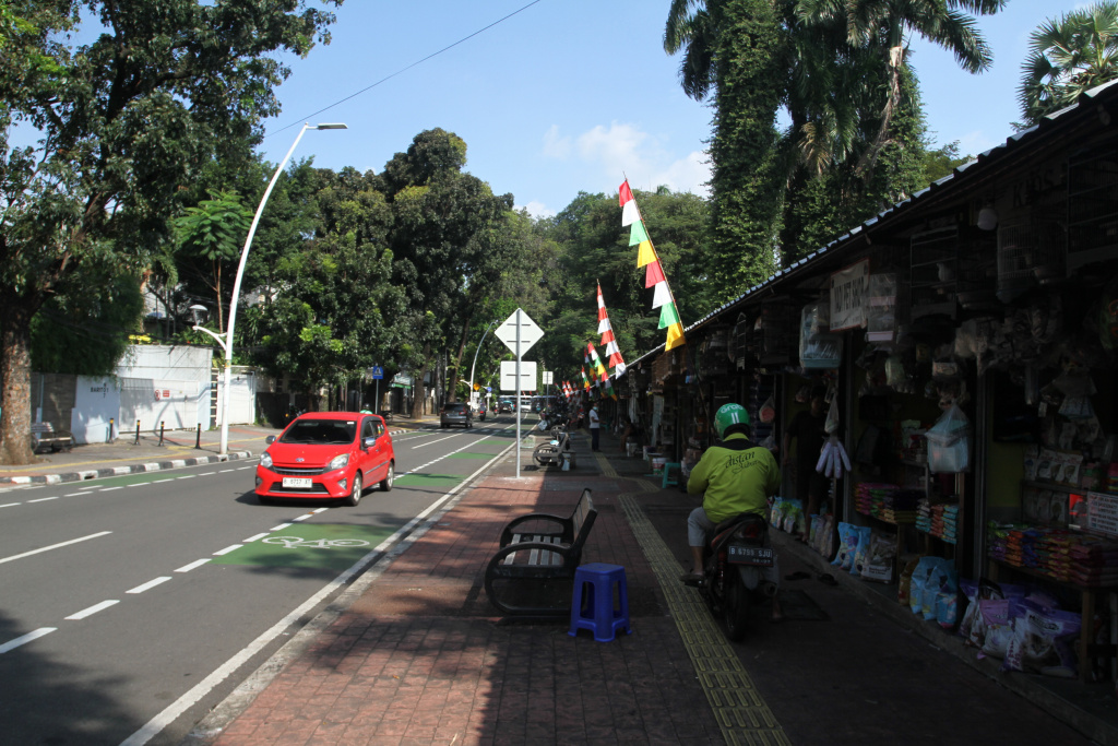 Rencana Relokasi Pedagang Pasar Hewan Barito Pedagang melakukan perawatan burung kakatua di Pasar Hewan Barito, Jakarta Selatan, Selasa (8/7/2025). (Beritanasional.com/Oke Atmaja)