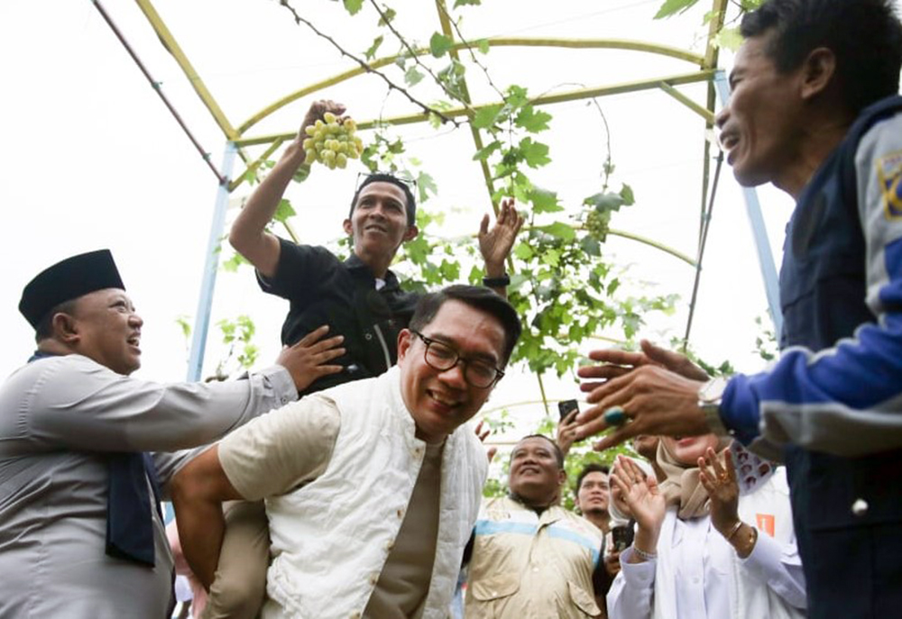 Calon Gubernur Jakarta nomor urut 1, Ridwan Kamil, melakukan kunjungan ke Agro Eduwisata. (BeritaNasional/Elvis Sendouw/HO Tim Rido)