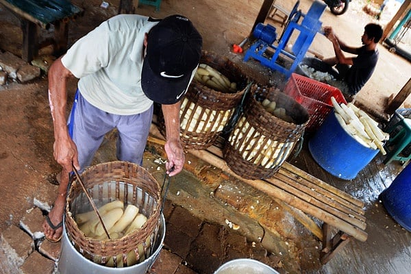 UMKM rumahan pengelolahan makanan keripik berbahan dasar singkong. (BeritaNasional/Elvis Sendouw)