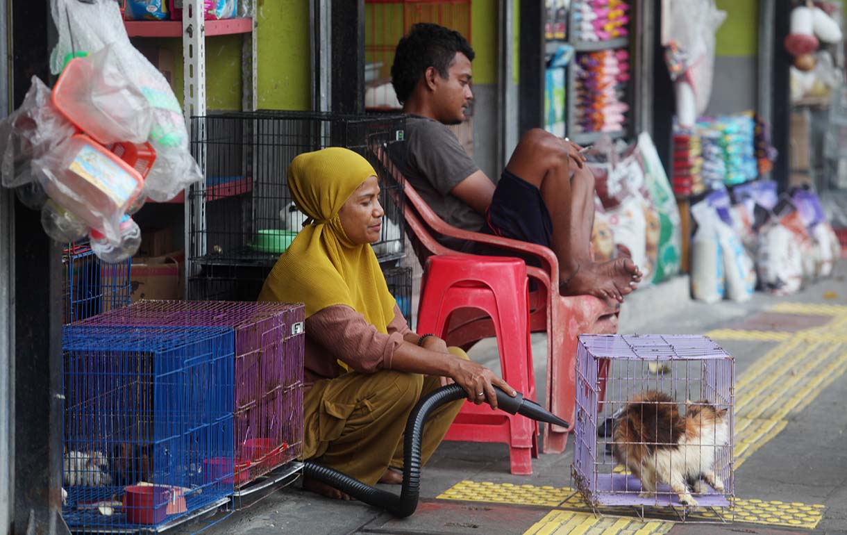 Pedagang membersihkan tempat makan burung pasar burung barito, kebayoran Baru, Jakarta, Jumat (10/10/2025). (Beritanasional.com/Oke Atmaja)
