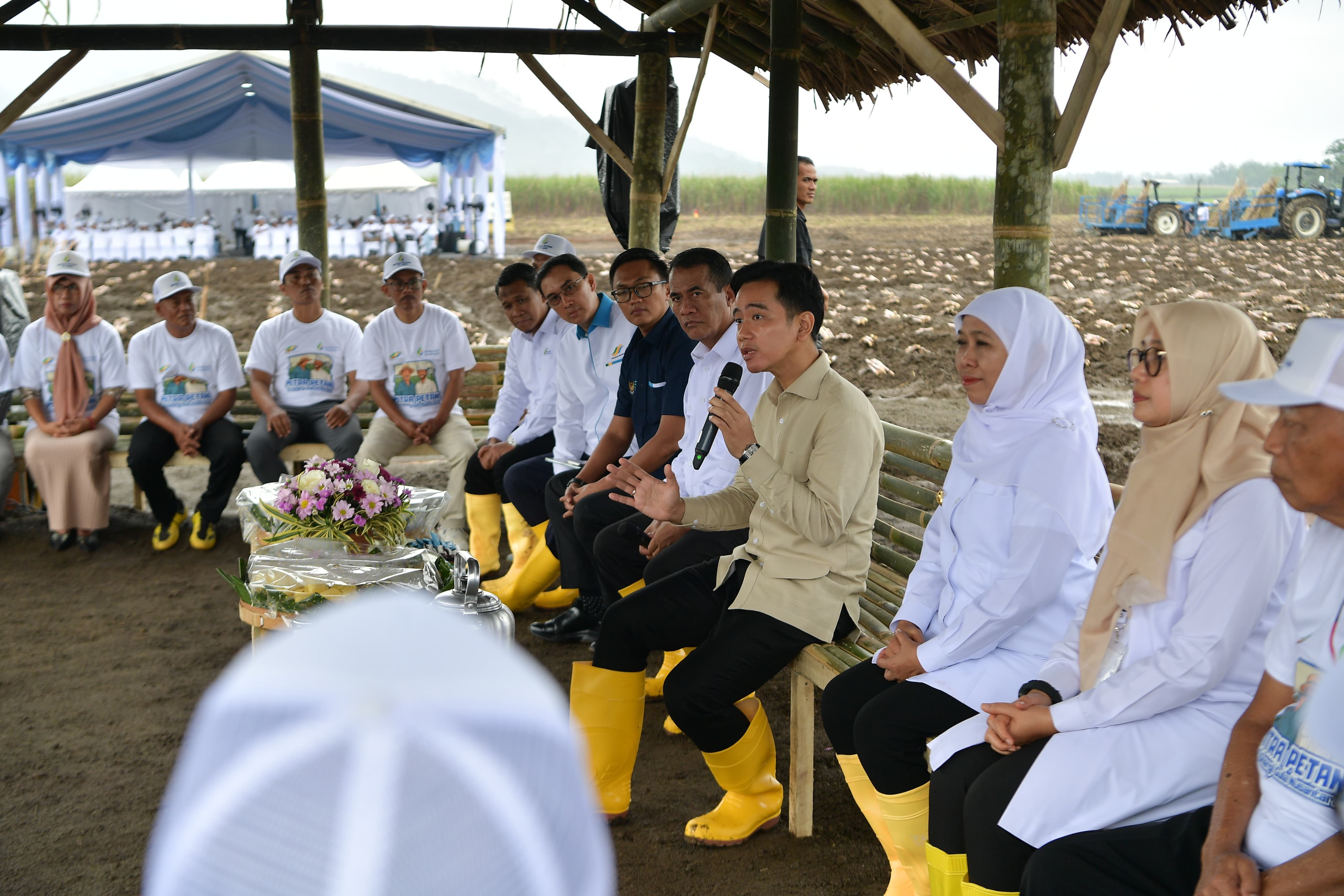 Tinjau Panen Raya Tebu di Banyuwangi, Wapres Dukung Swasembada Gula Nasional Wakil Presiden Gibran Rakabuming memberikan sambutan dalam kegiatan Panen Raya dan Tanam Tebu Perdana di Kebun Tebu Jolondoro, Banyuwangi. (BeritaNasional/Elvis Sendouw/HO Setwapres)
