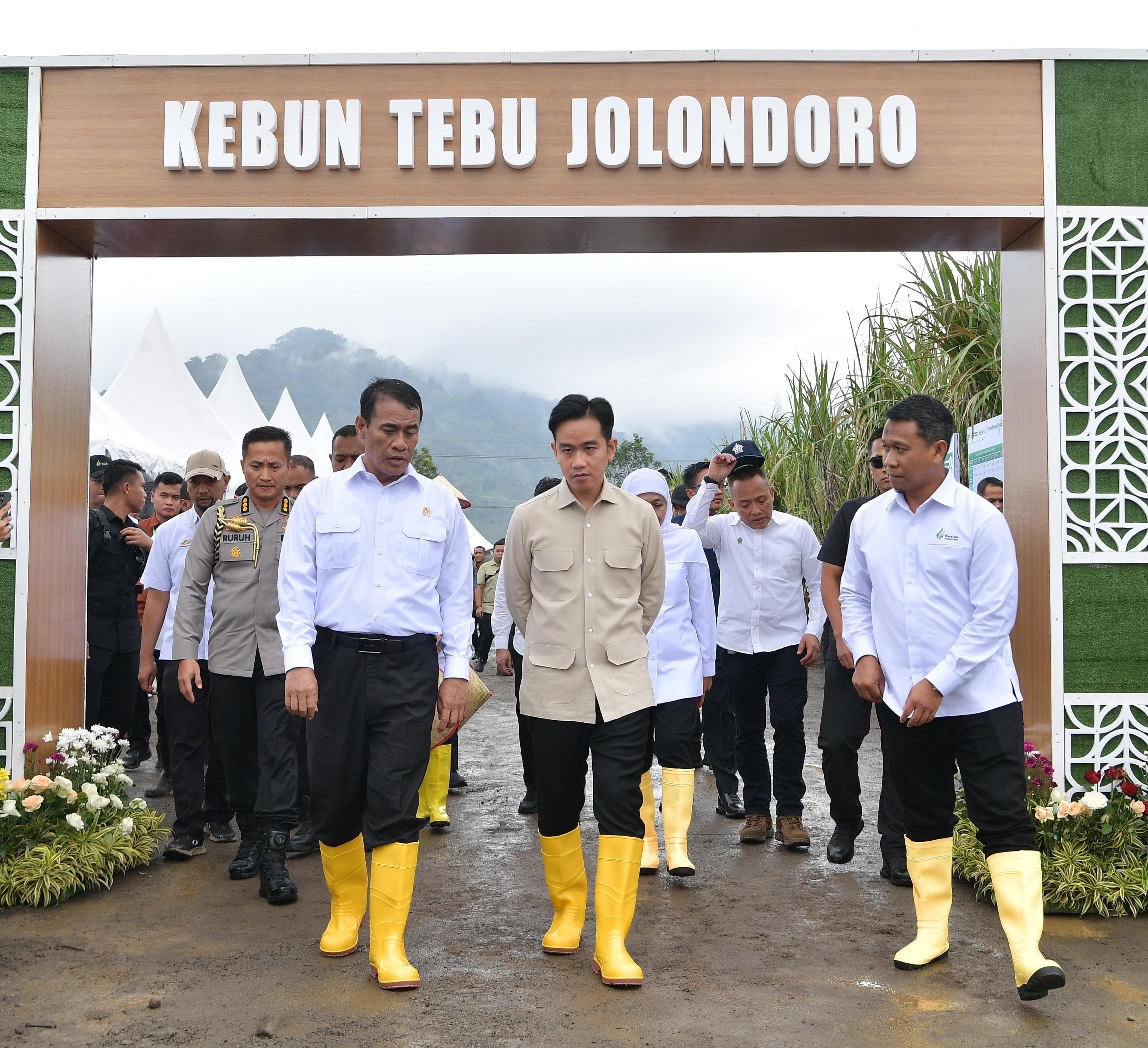 Tinjau Panen Raya Tebu di Banyuwangi, Wapres Dukung Swasembada Gula Nasional Wakil Presiden Gibran Rakabuming memberikan sambutan dalam kegiatan Panen Raya dan Tanam Tebu Perdana di Kebun Tebu Jolondoro, Banyuwangi. (BeritaNasional/Elvis Sendouw/HO Setwapres)