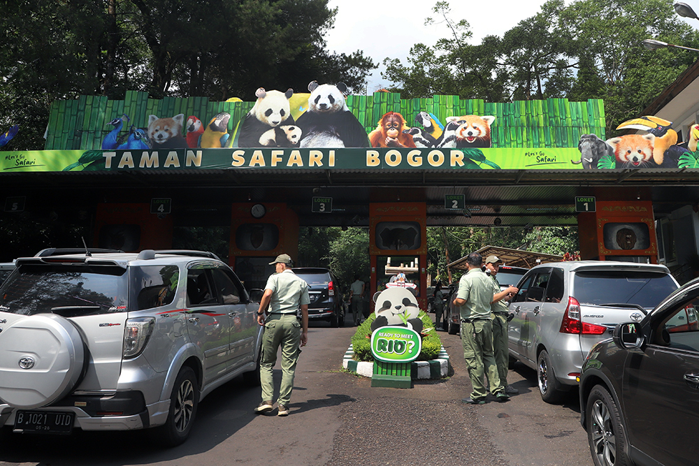 Anak giant panda yang baru lahir 6 bulan lalu mulai diperkenalkan ke pengunjung TSI. (BeritaNasional/Elvis Sendouw)