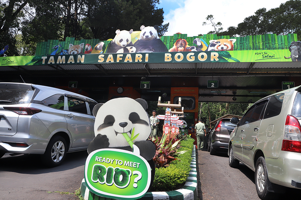 Anak giant panda yang baru lahir 6 bulan lalu mulai diperkenalkan ke pengunjung TSI. (BeritaNasional/Elvis Sendouw)