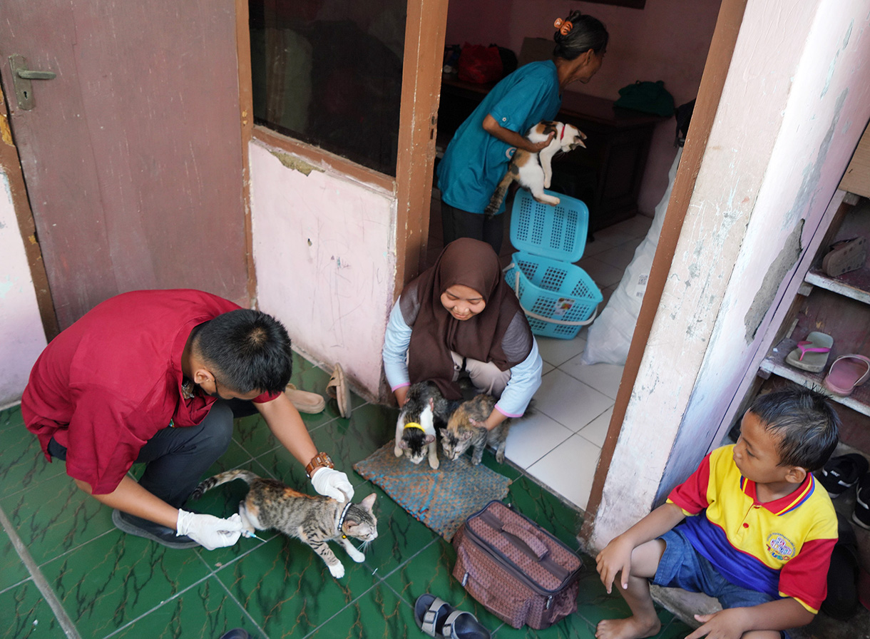 Petugas Suku Dinas Ketahanan Pangan, Kelautan dan Pertanian Jakarta Pusat menyuntikan vaksin rabies gratis kepada kucing milik warga di Jalan Gelora IX, Tanah Abang, Jakarta, Jumat (14/2/2025).  (Beritanasional.com/Oke Atmaja)