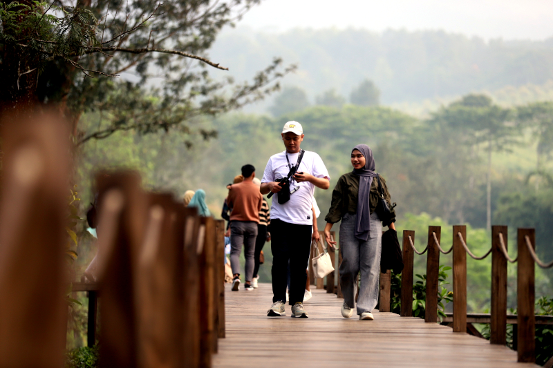 Wusata pemandangan kebun teh di Gunung Mas Puncak Bogor. (BeritaNasional/Elvis Sendouw)