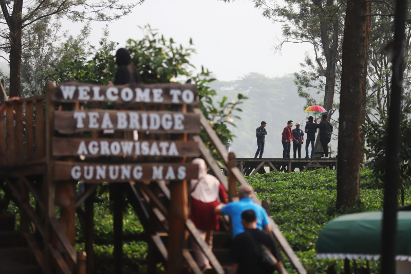 Wusata pemandangan kebun teh di Gunung Mas Puncak Bogor. (BeritaNasional/Elvis Sendouw)